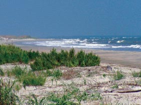 a photo of the beach at Dewees Island, SC