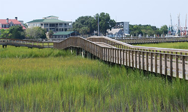 a scenic marsh view in Mount Pleasant, South Carolina