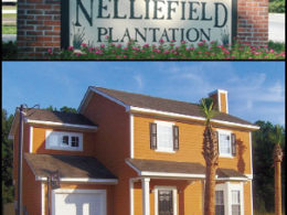 Nelliefield Plantation Neighborhood in Daniel Island, SC